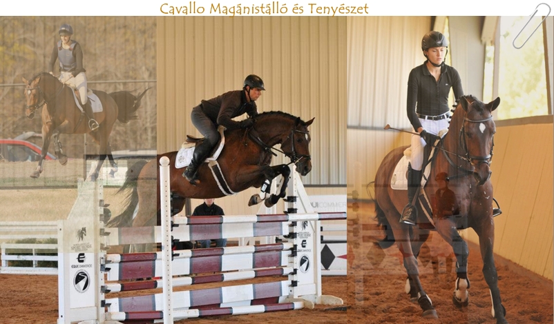 Cavallo Magnistll s Tenyszet